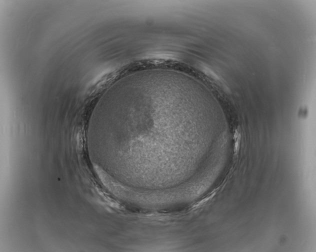 X0000093731014200710231147
