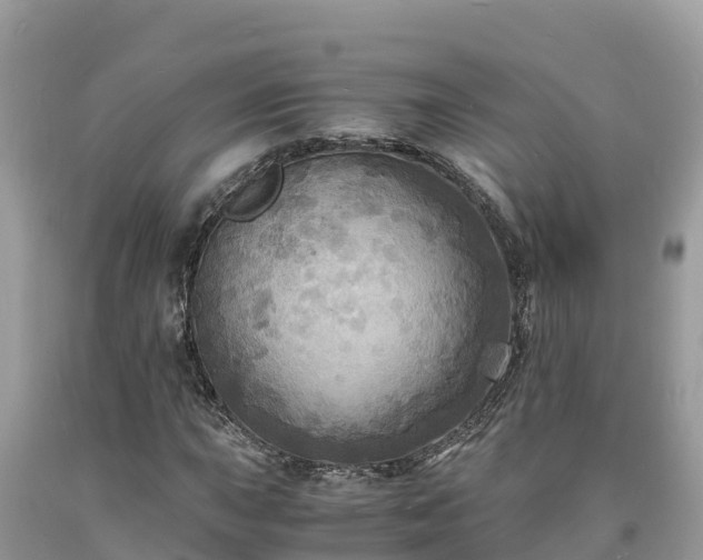 X0000093731015200710231147