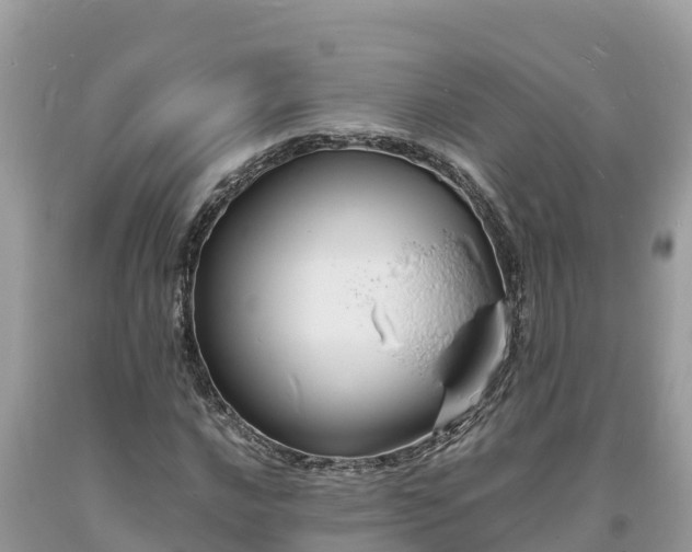 X0000093731016200710231147