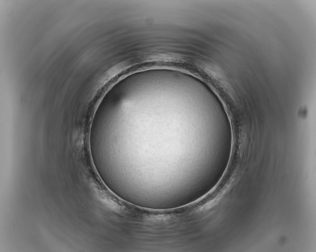 X0000093731017200710231147