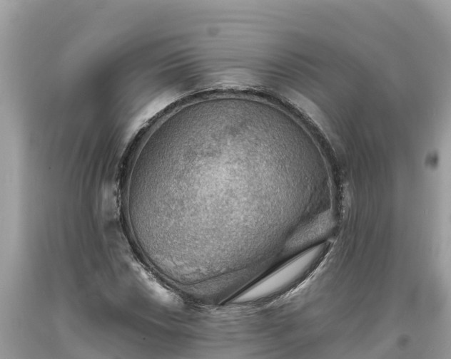 X0000093731018200710231147