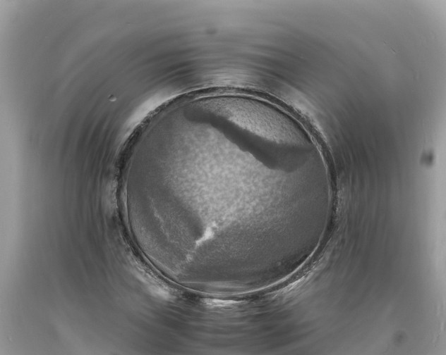 X0000093731019200710231147