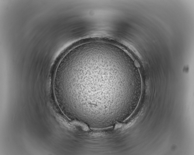 X0000093731021200710231147