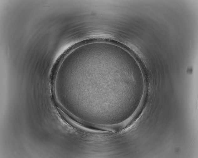 X0000093731022200710231147
