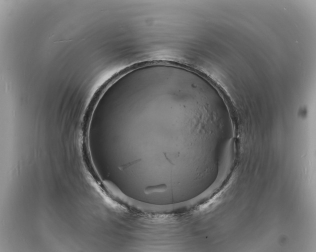 X0000093731024200710231147