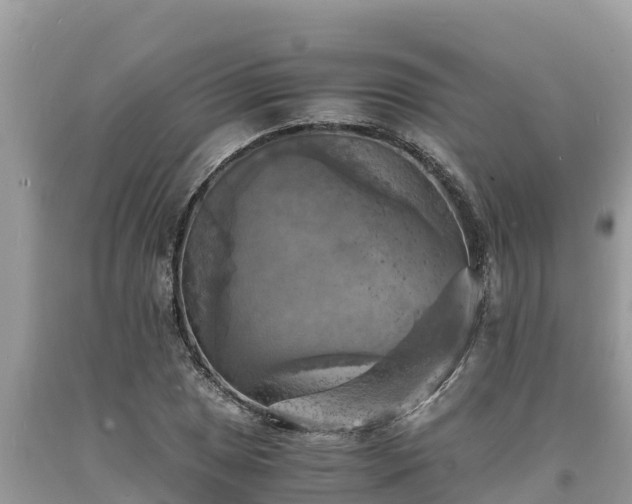 X0000093731025200710231147