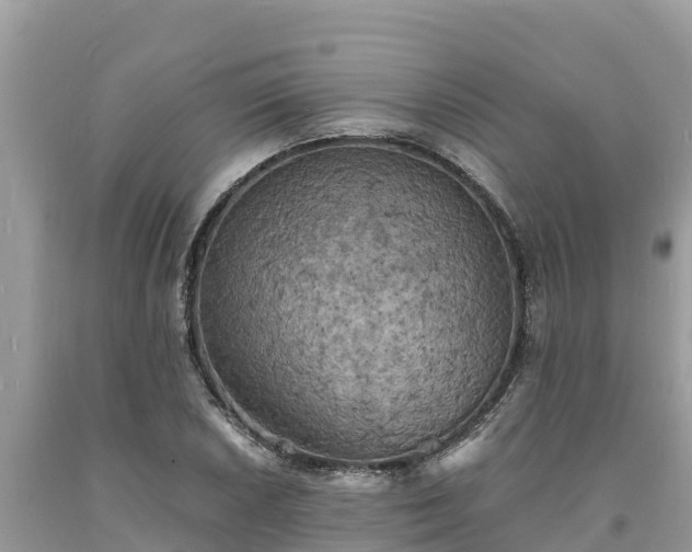 X0000093731026200710231148