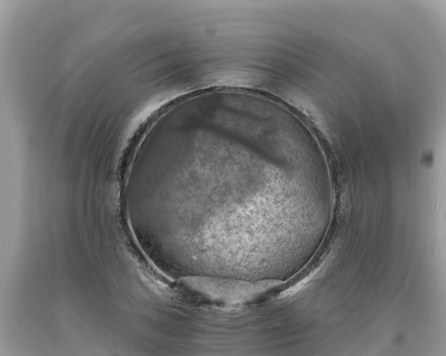 X0000093731027200710231148
