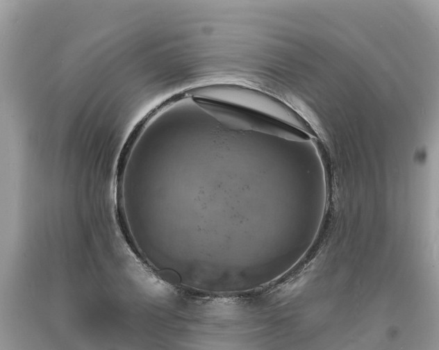 X0000093731028200710231148