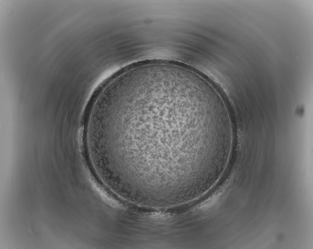 X0000093731029200710231148
