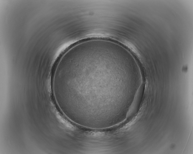 X0000093731030200710231148