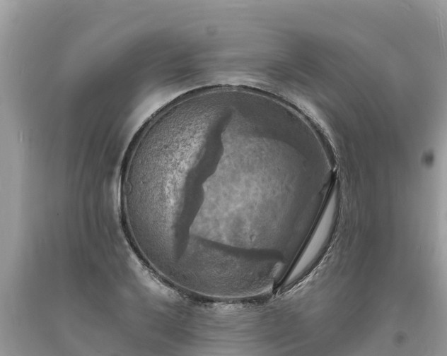 X0000093731032200710231148