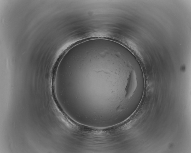 X0000093731035200710231148