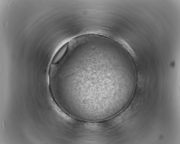 X0000093731036200710231148