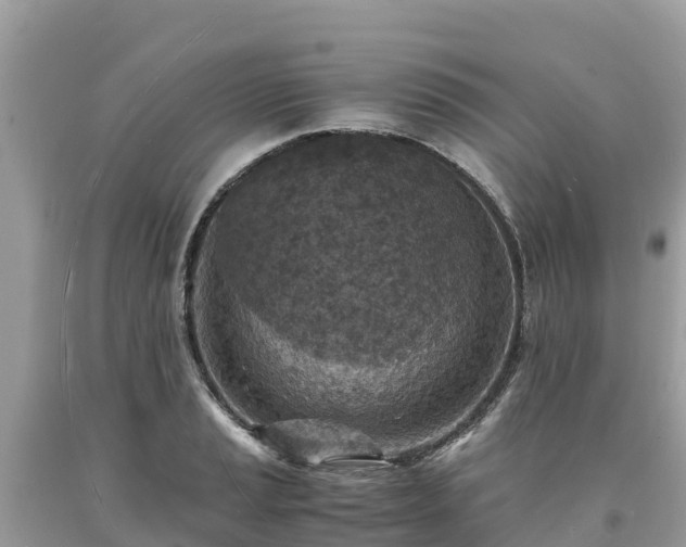 X0000093731037200710231148