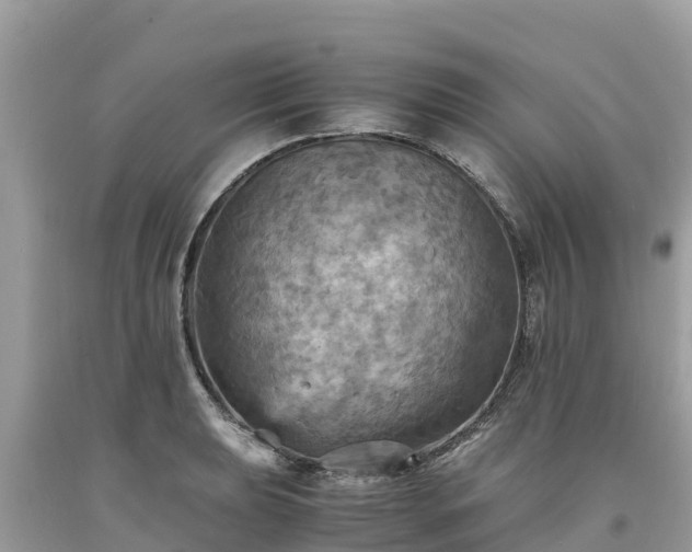 X0000093731039200710231148
