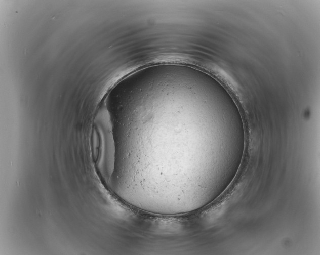 X0000093731041200710231148