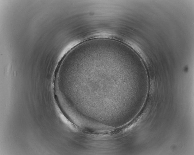 X0000093731042200710231148