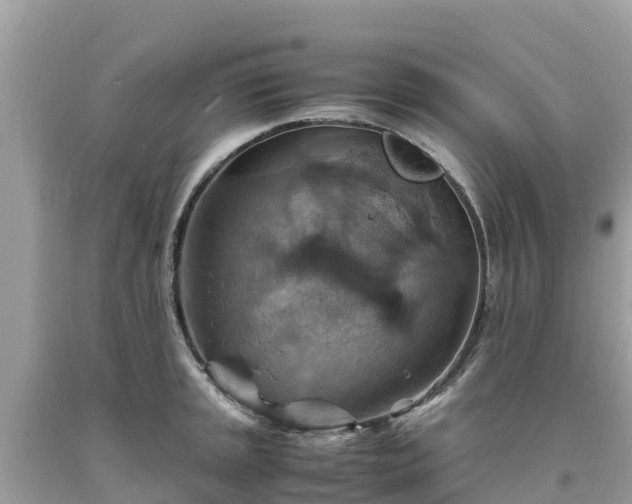 X0000093731045200710231148