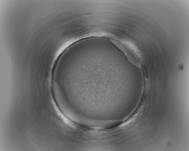 X0000093731046200710231148