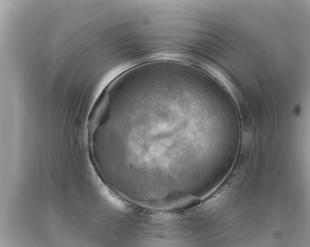 X0000093731050200710231148