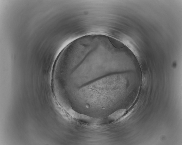 X0000093731052200710231148