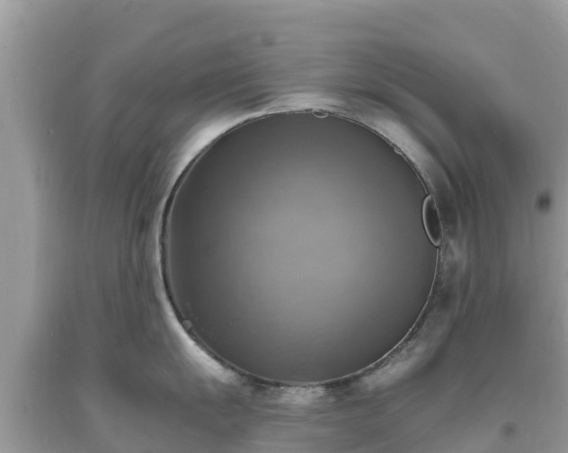 X0000093731055200710231148