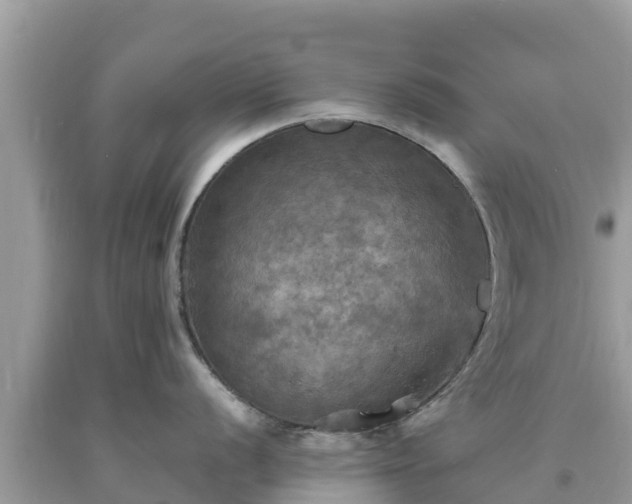 X0000093731056200710231148