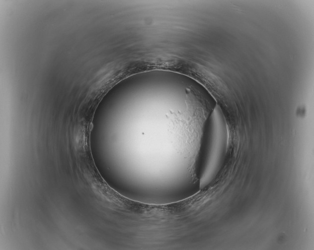 X0000093731058200710231147