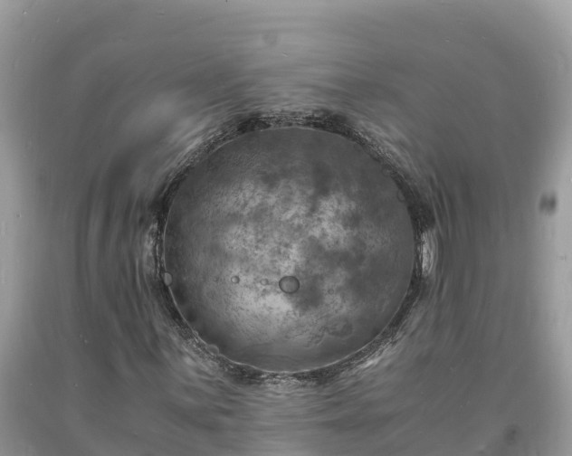 X0000093731059200710231147
