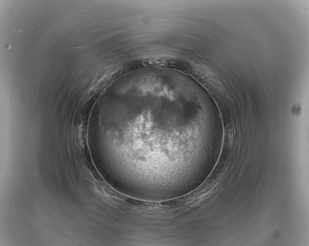 X0000093731060200710231147