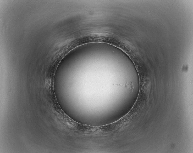X0000093731061200710231147