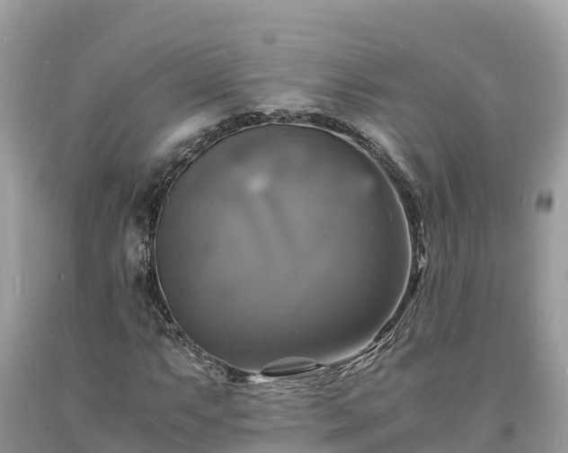 X0000093731063200710231147