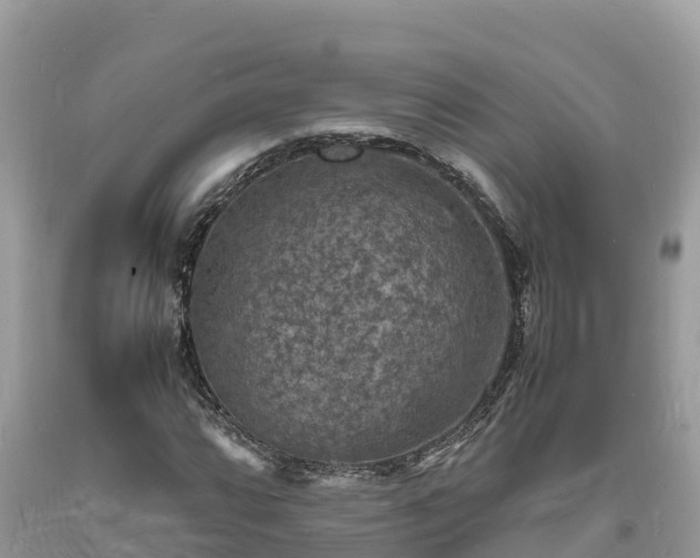 X0000093731064200710231147