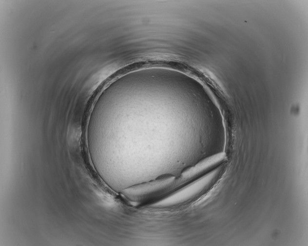X0000093731065200710231147