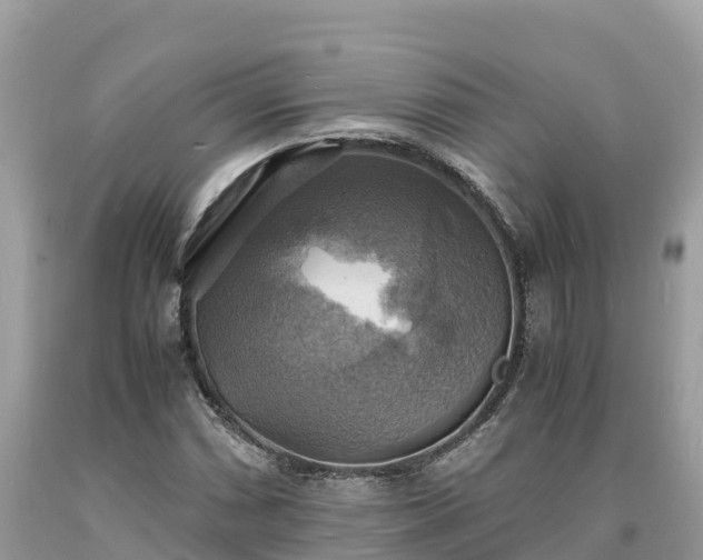 X0000093731066200710231147