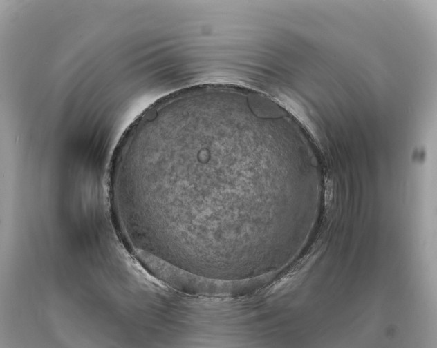 X0000093731068200710231147