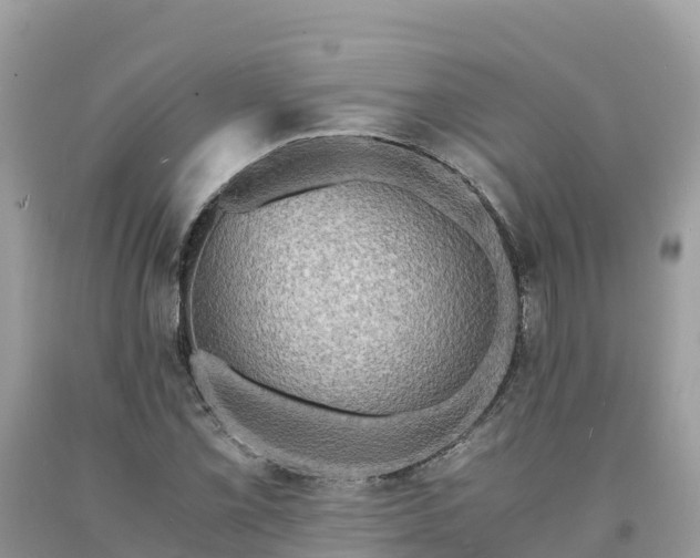 X0000093731069200710231147
