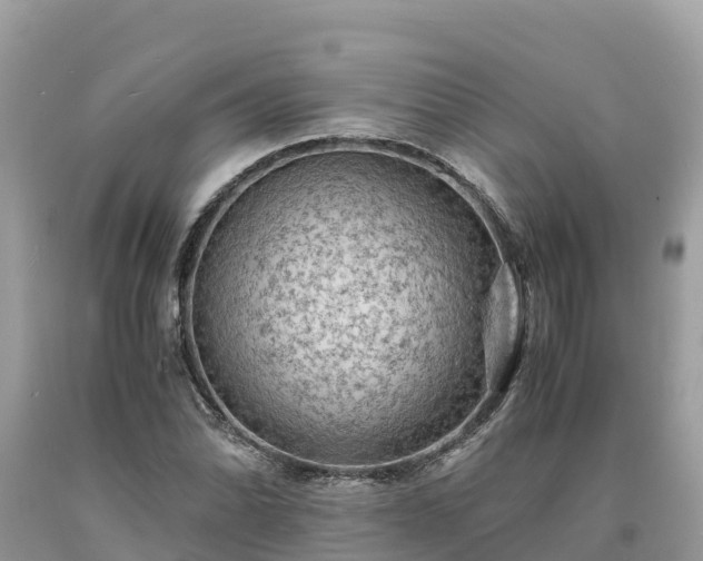 X0000093731070200710231147