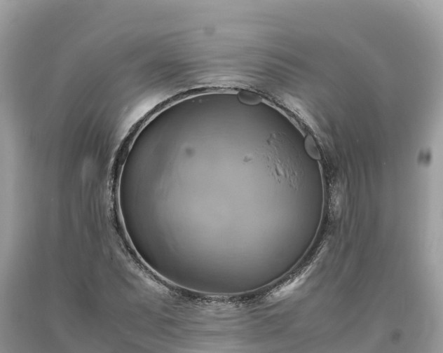 X0000093731071200710231147