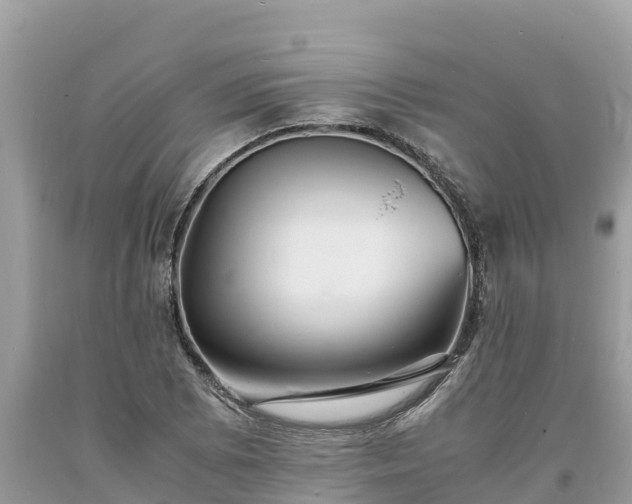 X0000093731073200710231147