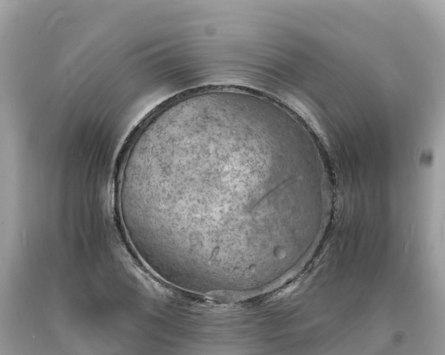 X0000093731076200710231147