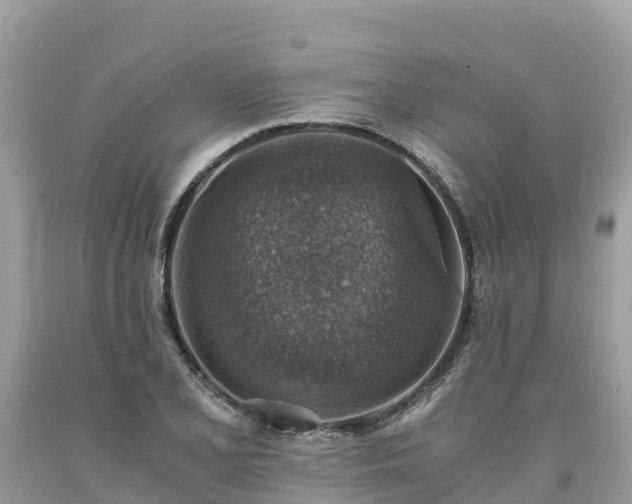 X0000093731077200710231147