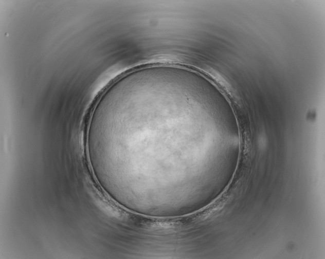 X0000093731078200710231147