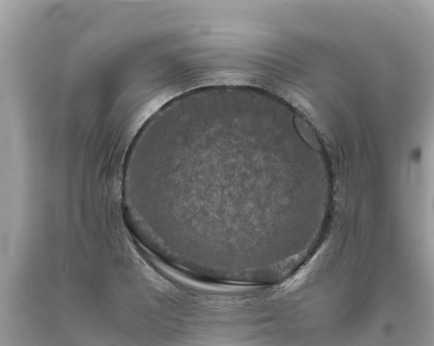 X0000093731081200710231147