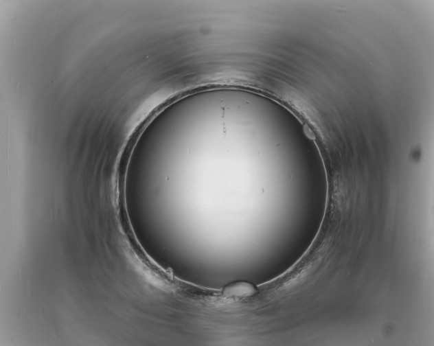 X0000093731082200710231147