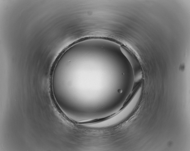 X0000093731085200710231147
