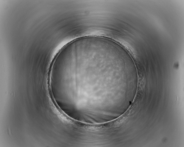 X0000093731086200710231147