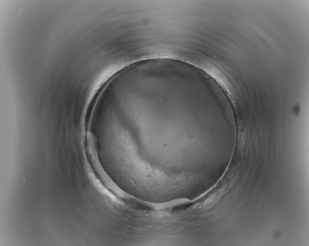 X0000093731088200710231147