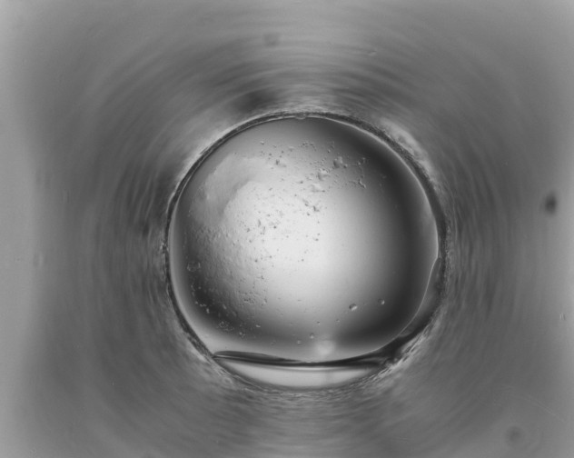 X0000093731089200710231147